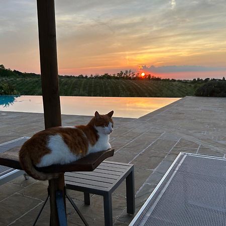 Agriturismo La Rinaldina ファエンツァ エクステリア 写真