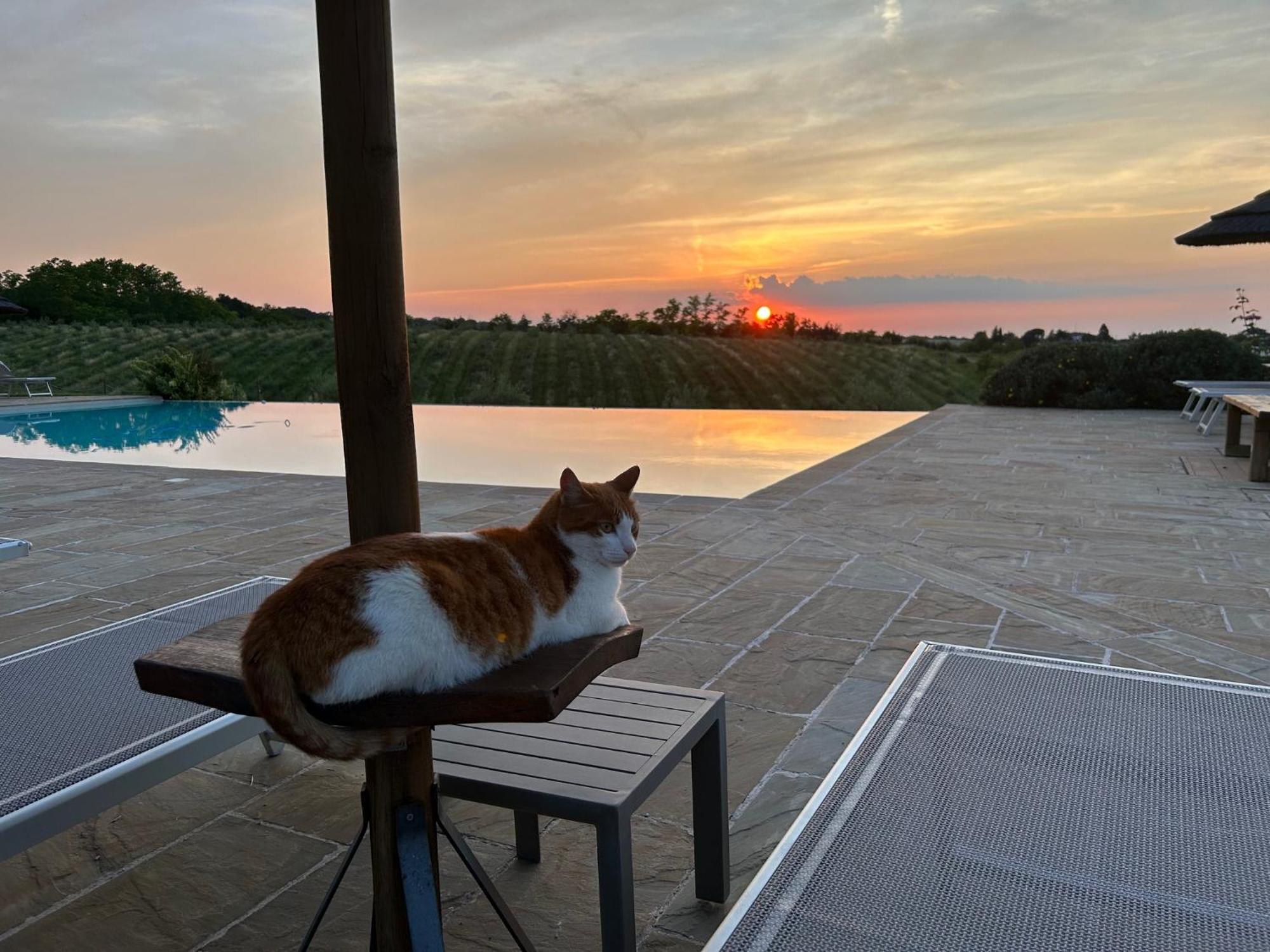 Agriturismo La Rinaldina ファエンツァ エクステリア 写真