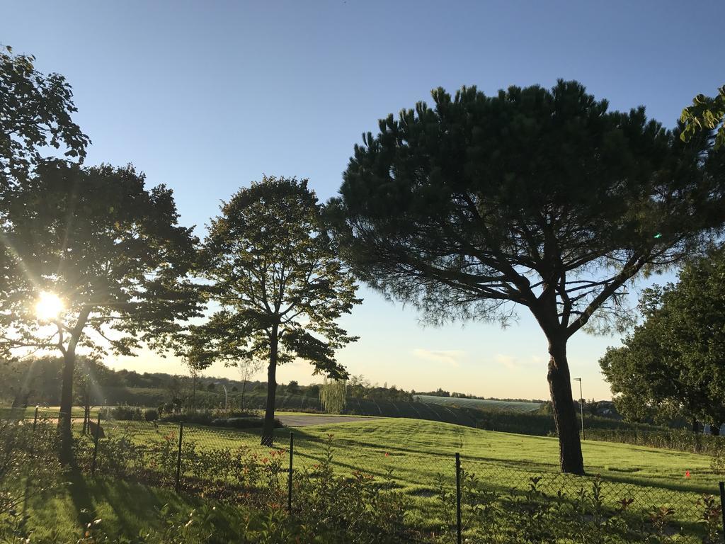 Agriturismo La Rinaldina ファエンツァ エクステリア 写真