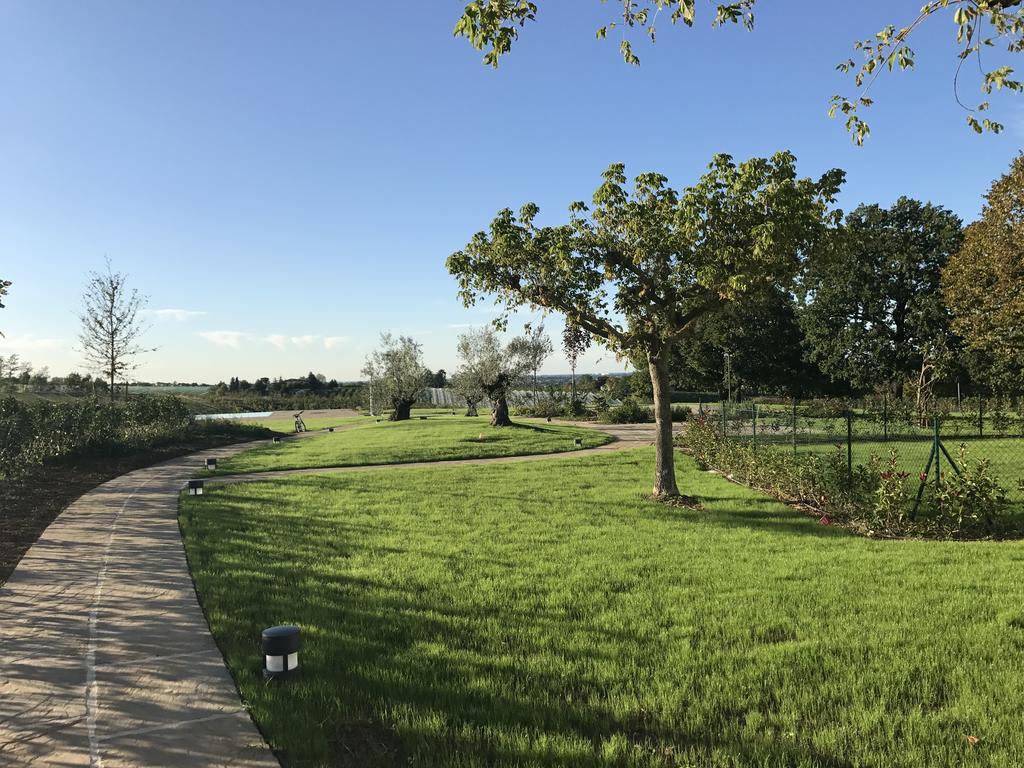 Agriturismo La Rinaldina ファエンツァ エクステリア 写真
