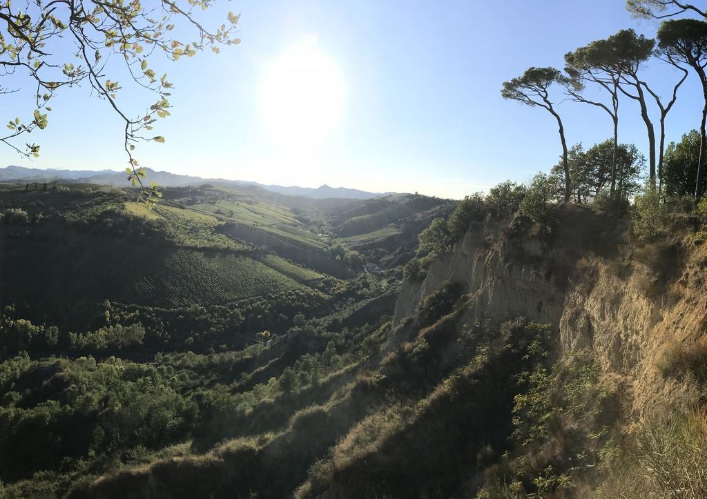 Agriturismo La Rinaldina ファエンツァ エクステリア 写真
